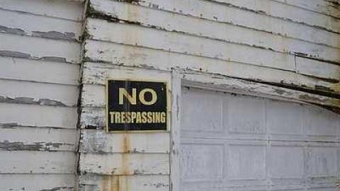 Electronic Paradise photo 2