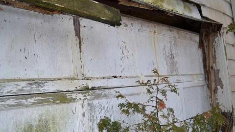 February 2016 - DSC_1383.jpg