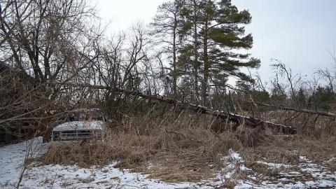 February 2016 - DSC_1407.jpg