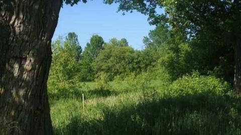 Smith House - IMG_5179.jpg