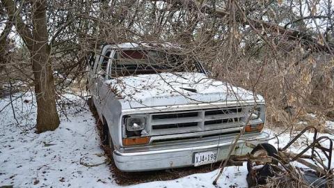 Electronic Paradise photo 4