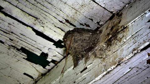 Liboire House photo 2