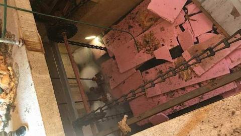 Edgar in the spring - CFB-Edgar171.jpg