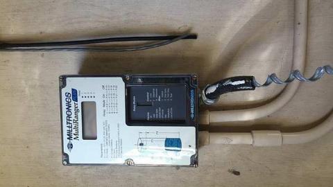 Edgar in the spring - CFB-Edgar180.jpg