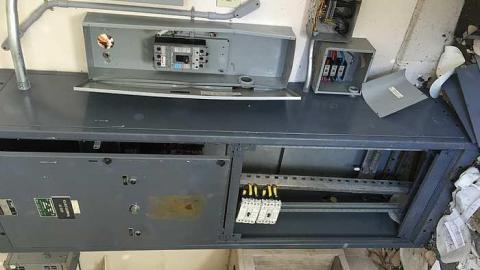 Edgar in the spring - CFB-Edgar172.jpg