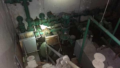 Edgar in the spring - CFB-Edgar173.jpg