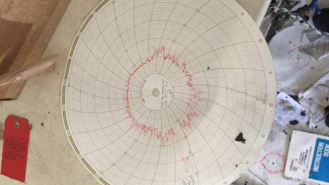 Edgar in the spring - CFB-Edgar182.jpg