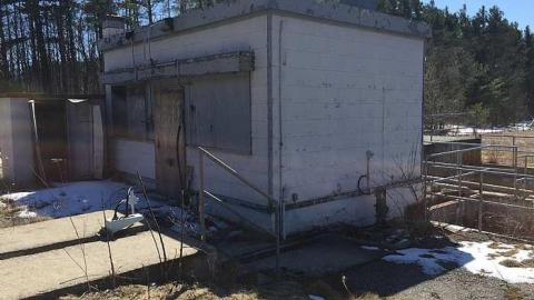 Edgar in the spring - CFB-Edgar174.jpg