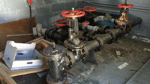 Edgar in the spring - CFB-Edgar175.jpg