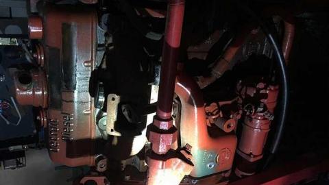 Edgar in the spring - CFB-Edgar184.jpg