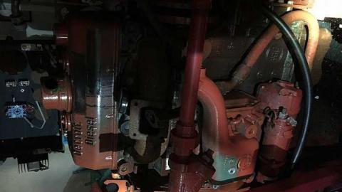 Edgar in the spring - CFB-Edgar176.jpg