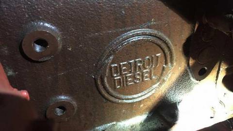 Edgar in the spring - CFB-Edgar186.jpg