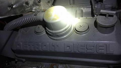 Edgar in the spring - CFB-Edgar187.jpg