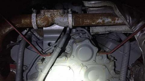 Edgar in the spring - CFB-Edgar178.jpg