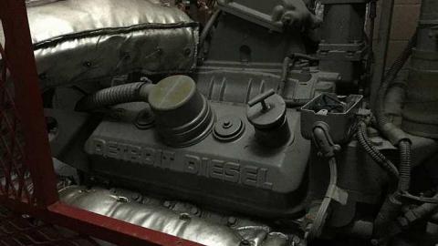 Edgar in the spring - CFB-Edgar179.jpg