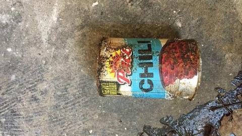 Edgar in the spring - CFB-Edgar194.jpg