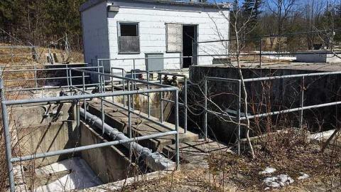 Edgar in the spring - CFB-Edgar195.jpg