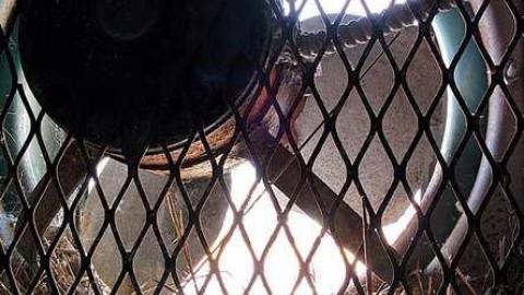 March 30 2016 - Camp-30-Bowmanville1051.jpg