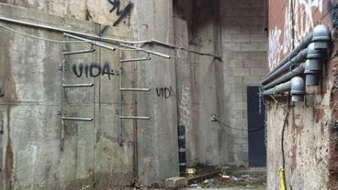 2016 Packing Plant - IMG_75501.jpg