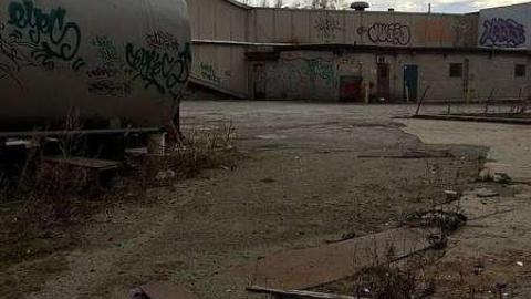 2016 Packing Plant - IMG_75531.jpg