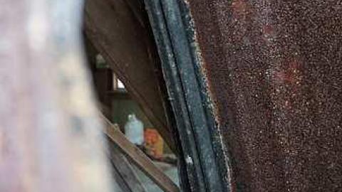 Adventure down the Street - Little-Shack7.jpg