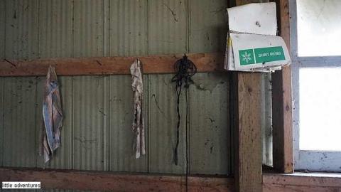 Little Shack photo 4