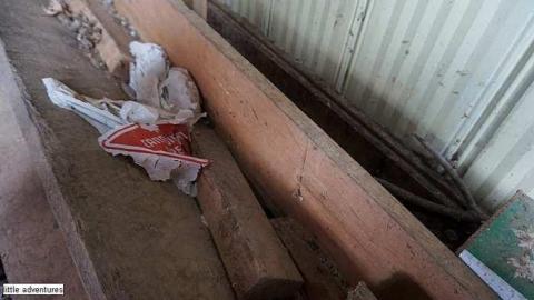 Adventure down the Street - Little-Shack10.jpg