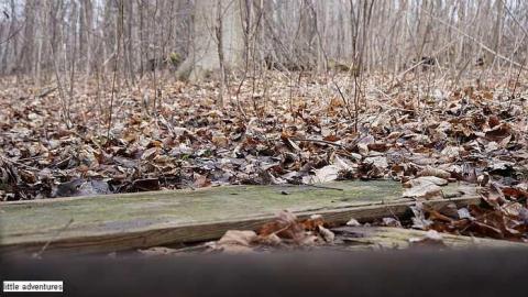 Adventure down the Street - Little-Shack4.jpg