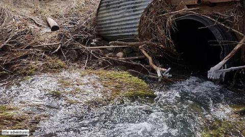 Little Shack photo 3