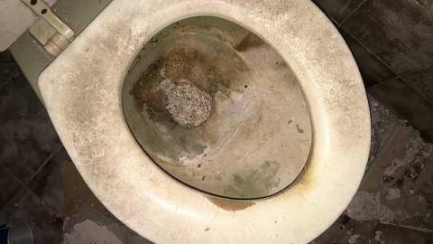 April 2016 - IMG_7461.jpg