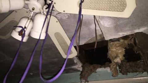 April 2016 - IMG_7464.jpg