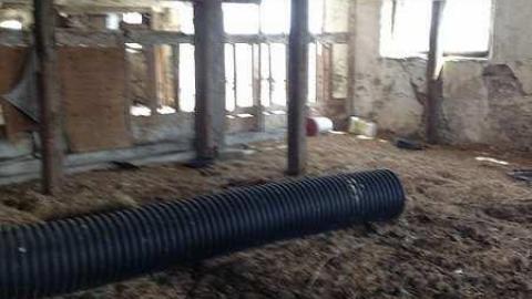 nailed shut - IMG_1608.jpg