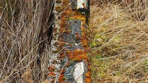 Spring 2016 - Rocky-Ruins25.jpg