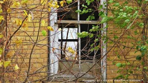 Before The Demo - Beaverton-Tim-Hortons-House37.jpg