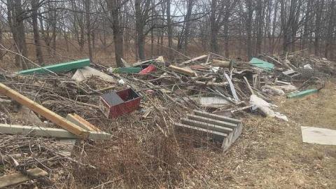 Dandy Lion Rubble - Cullen-Gardens149.jpg