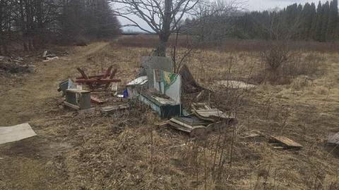 Dandy Lion Rubble - Cullen-Gardens145.jpg