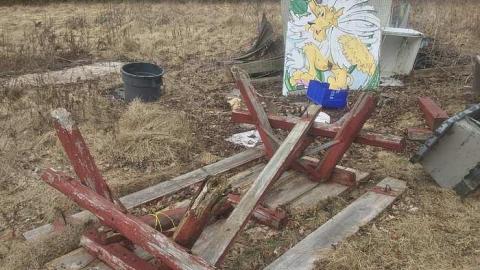 Dandy Lion Rubble - Cullen-Gardens146.jpg