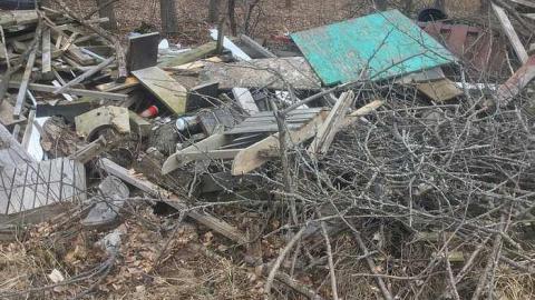 Dandy Lion Rubble - Cullen-Gardens11.jpg