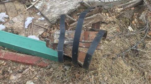 Dandy Lion Rubble - Cullen-Gardens147.jpg