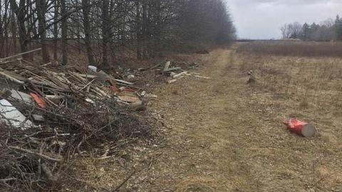 Dandy Lion Rubble - Cullen-Gardens12.jpg