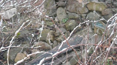 Nairn Barns - Nairn-Barns25.jpg