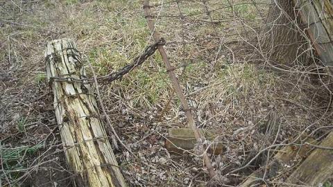 Komoka house - fbDSCN2085.jpg