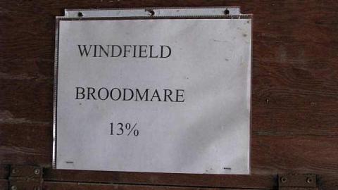 Race to The Past - 1.jpg