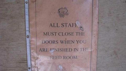 Race to The Past - 2.jpg