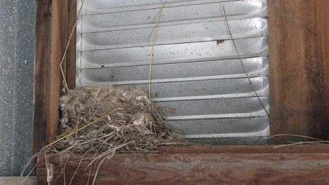 Race to The Past - 4.jpg