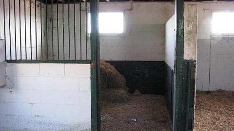 Race to The Past - 21.jpg