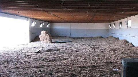 Race to The Past - 25.jpg