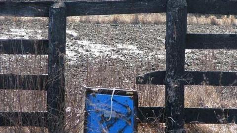 Race to The Past - 28.jpg