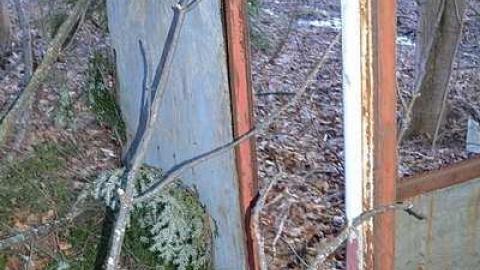 April 2016 - Drug-Store-Trolley11.jpg