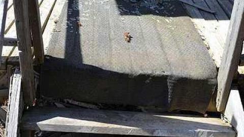 April 2016 - DSC_0653.jpg